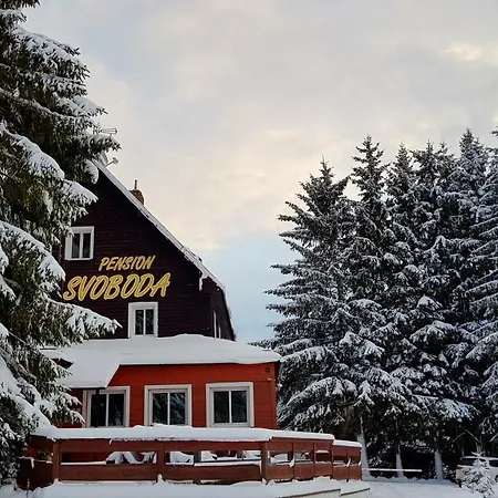 Svoboda Guest house